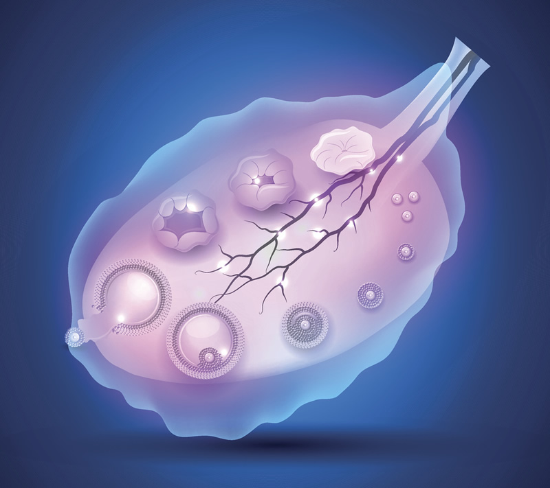 上海十大试管婴儿医院排名出炉：红房子、仁济医院领衔，附二代试管费用全解析与医生团队介绍
